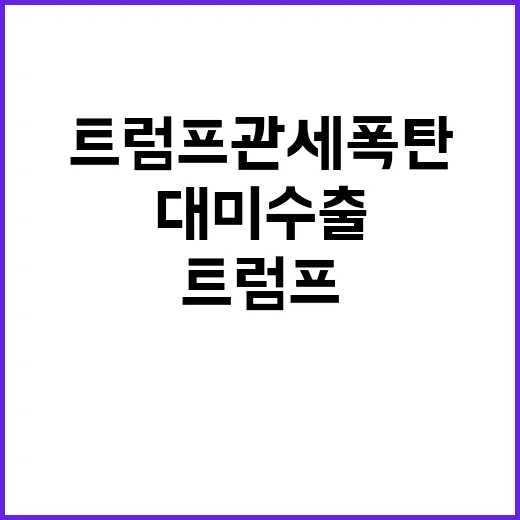 트럼프 관세폭탄 대…