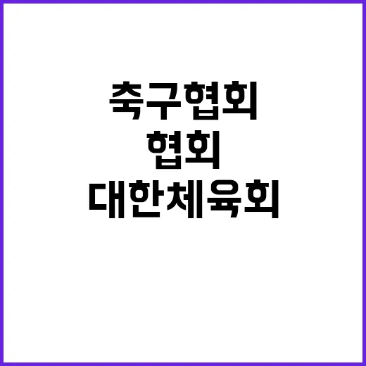 감사원 발표 대한체…