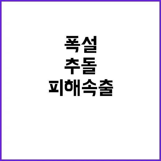 폭설 피해 전국 확…