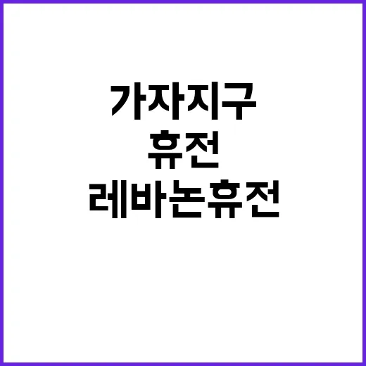 레바논 휴전 가자지…