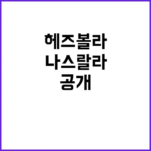 헤즈볼라 지도자 나…