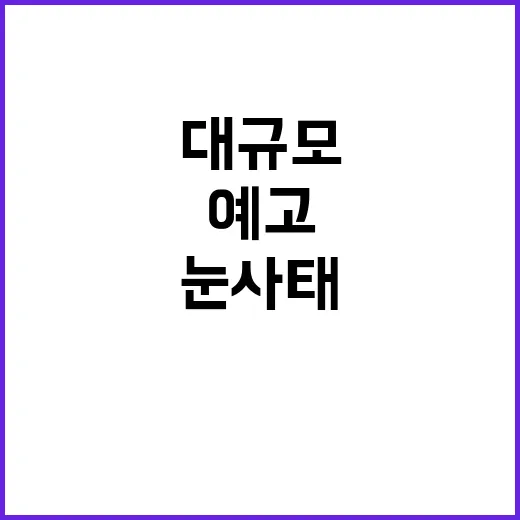 수도권 대규모 눈사…