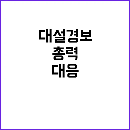 대설 경보 정부 총…