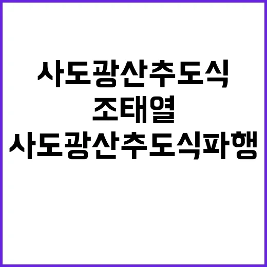 조태열 사도광산 추…