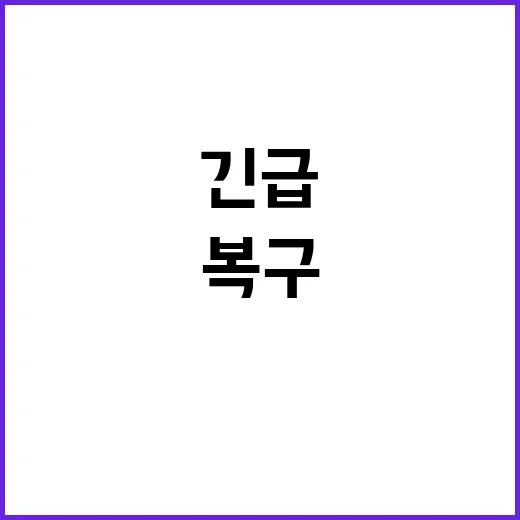 폭설 환경부의 긴급…