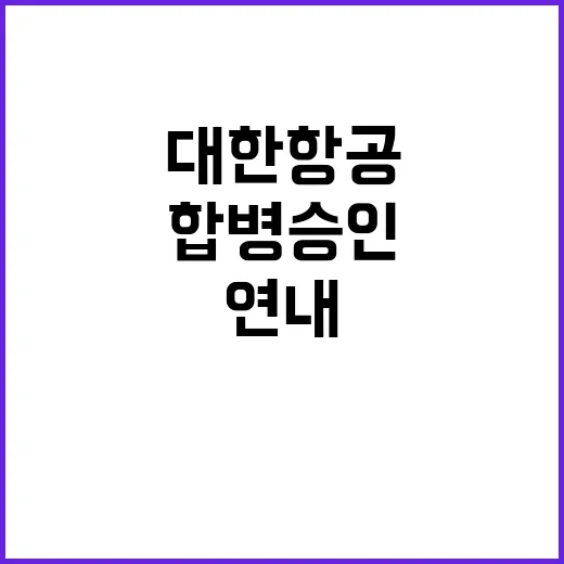 합병 승인 대한항공…