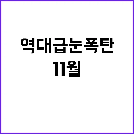 역대급 눈폭탄 11…