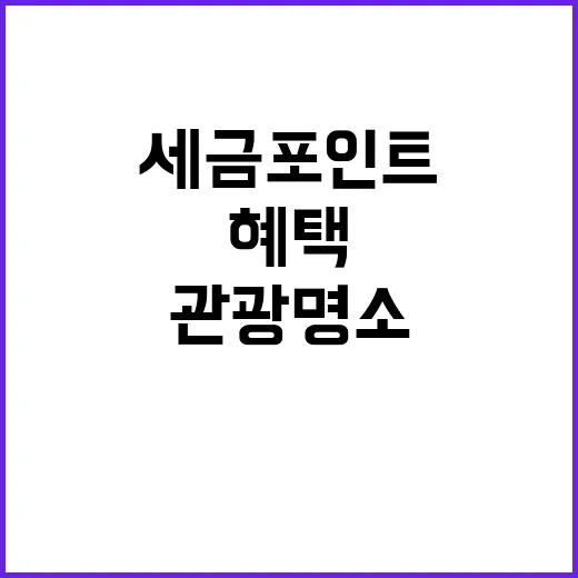 세금포인트 혜택 관…