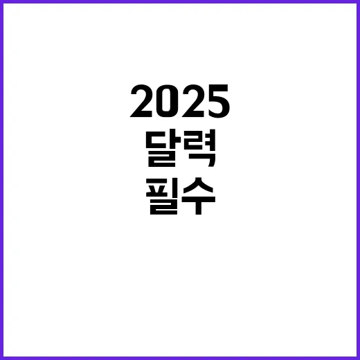 태극기 2025 달…