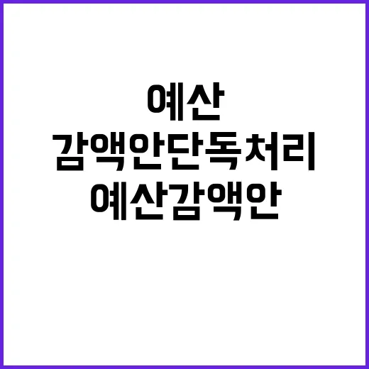 예산 감액안 단독 …