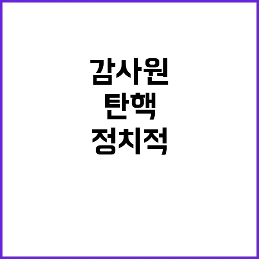 정치적 탄핵 감사원…