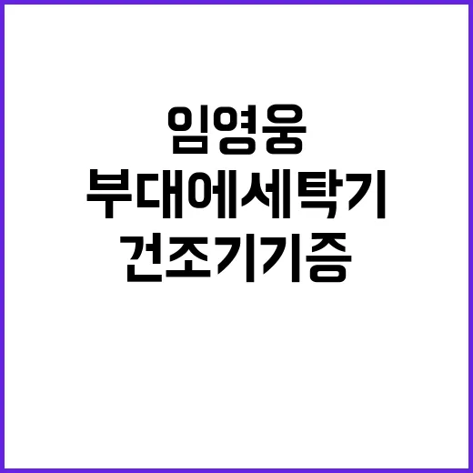 임영웅의 선행 군부…