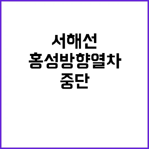 서해선 전자 혼란 …