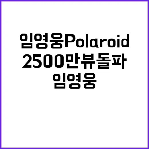 임영웅 Polaro…