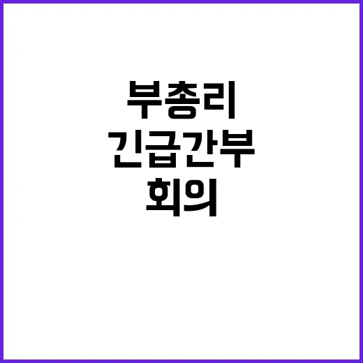 부총리 회의 긴급 …