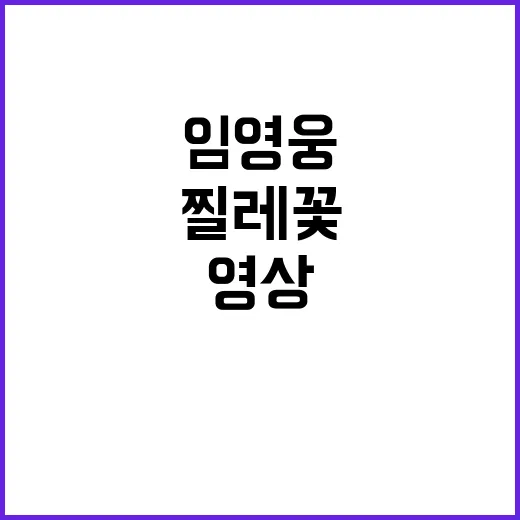 임영웅 찔레꽃 커버…