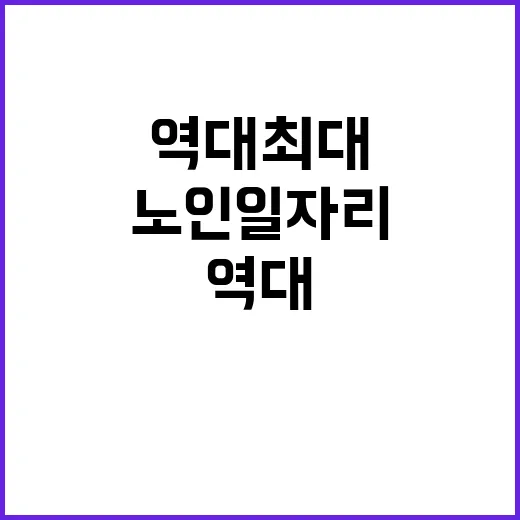 노인일자리 기회 역…