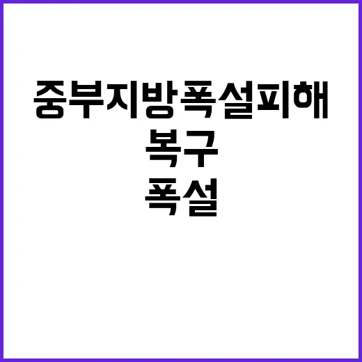 중부지방 폭설 피해…