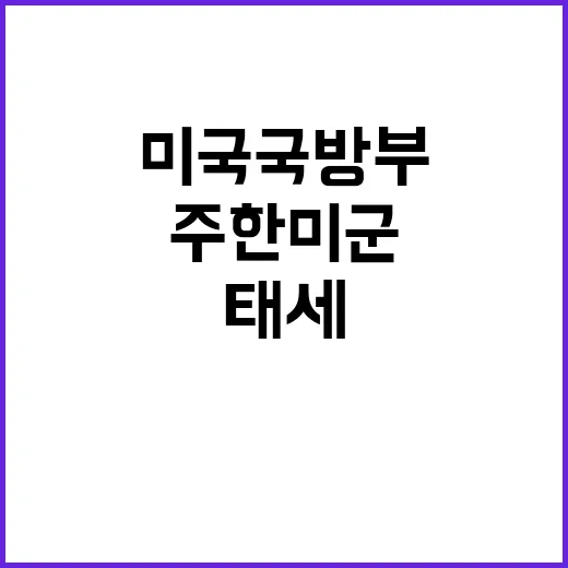 미국 국방부 한국군…