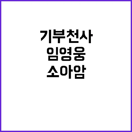 임영웅 기부 천사 …