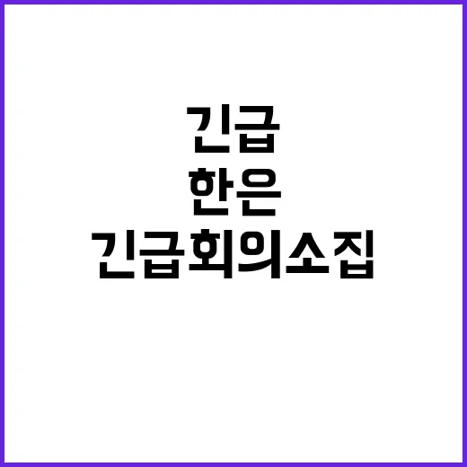 원화 폭락 한은 긴…