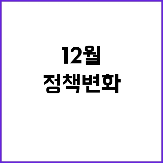 정책 변화 12월 …