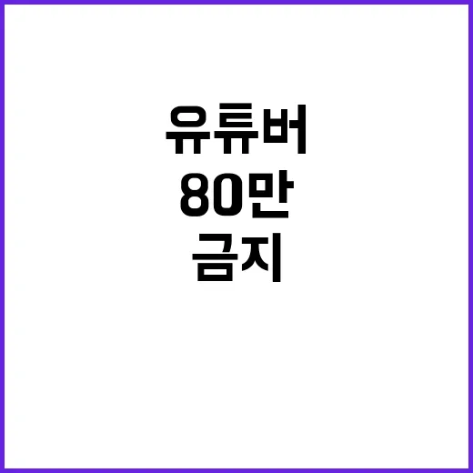 80만 유튜버 아이…