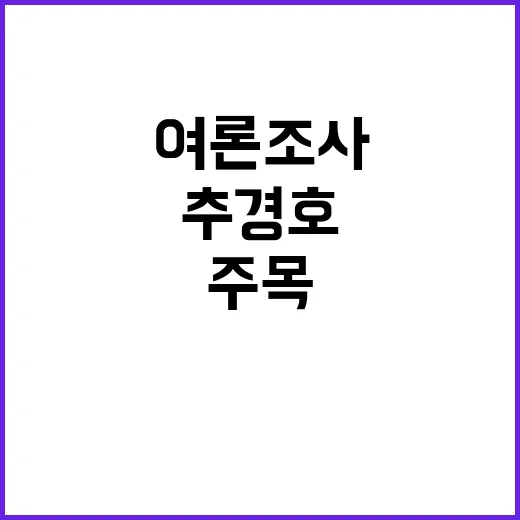 여론조사TF 추경호…