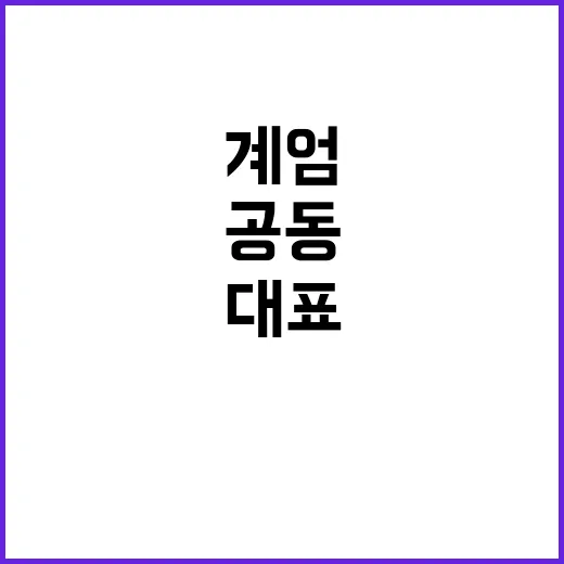 계엄 논란 여여 대표 공동 비판!