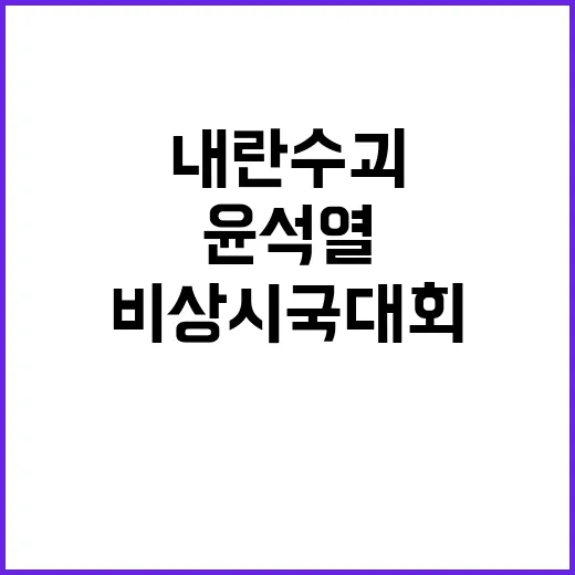 윤석열 내란 수괴?…