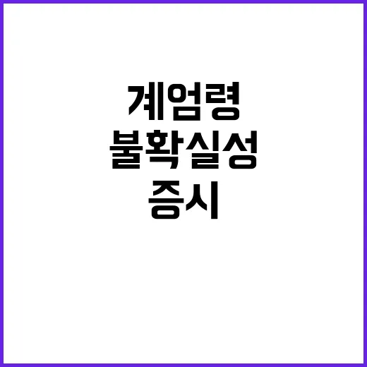 계엄령 후폭풍 K증…