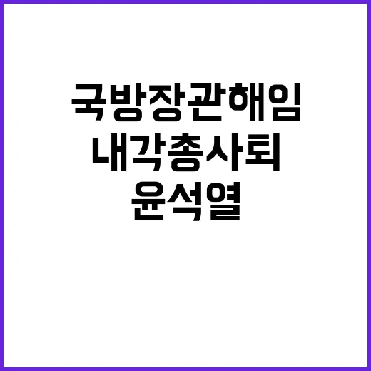 내각 총사퇴 국방장관 해임…윤석열 탈당설?