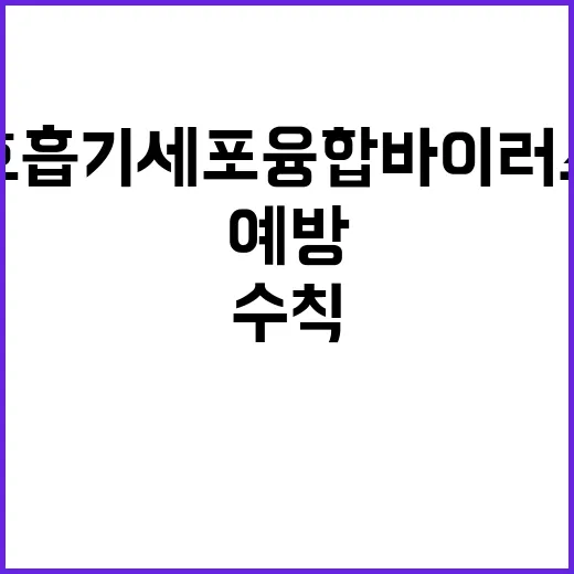 호흡기세포융합바이러…