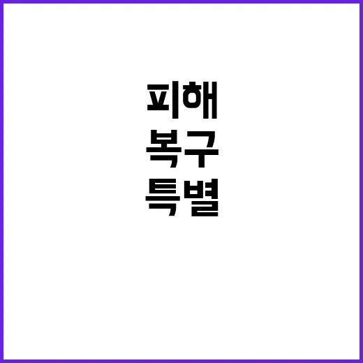 폭설 재난 특별지역…