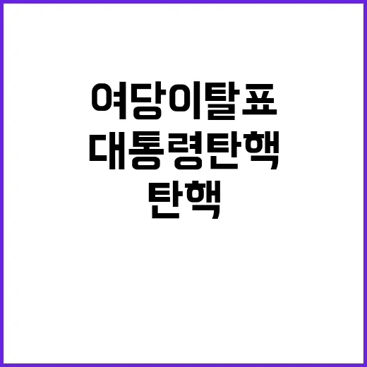 대통령 탄핵 여당 …