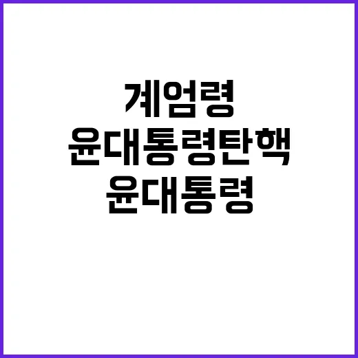 무력 계엄령 시도 …