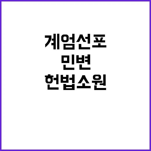 민변 헌법소원 계엄…