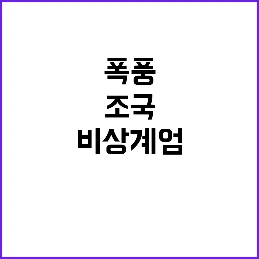 비상계엄 조국 대법…