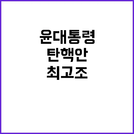 윤 대통령 탄핵안 …