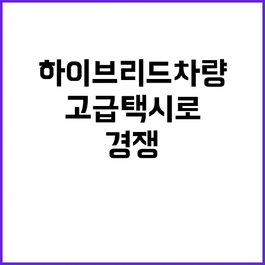 하이브리드 차량 고…