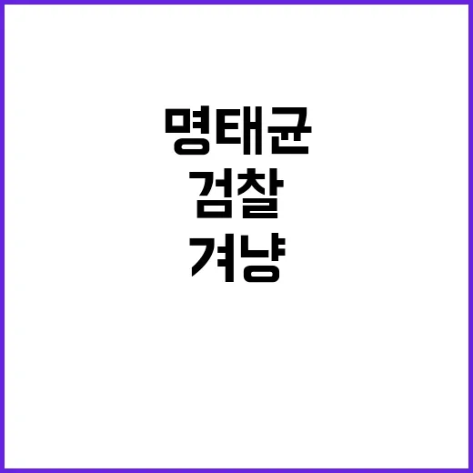 명태균 메시지 대통…