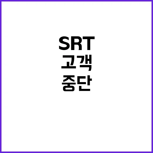 SRT 예매 중단 …