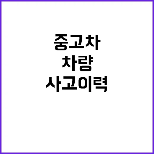 중고차 기록 사고이…