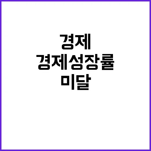 경제 성장률 미달 …