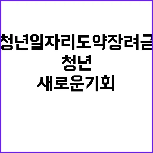 청년일자리 도약장려…