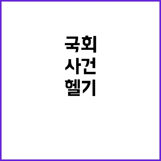 국회 헬기 막는 버…