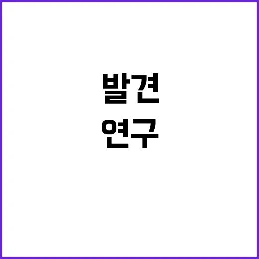 공룡 화석 여수에서…