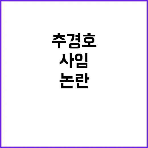 추경호 사임 파문 정치권 내란죄 논란 촉발