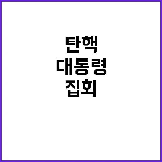 대통령 탄핵 논란 …