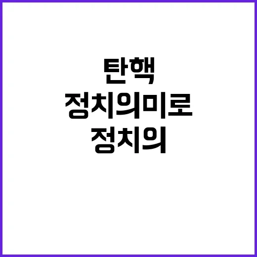 탄핵 이탈표 8명 정치의 미로